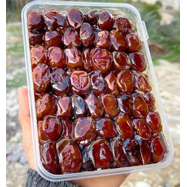 خرمای کبکاب بوشهر