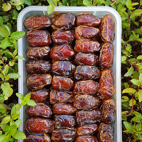 خرید عمده خرما کبکاب