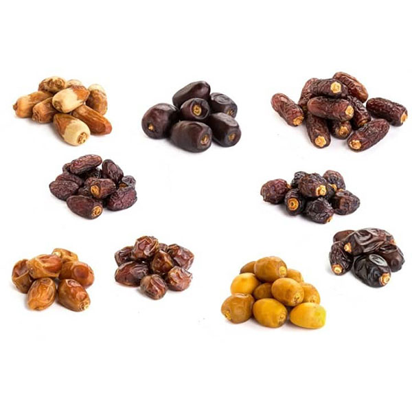 خرید عمده انواع خرما