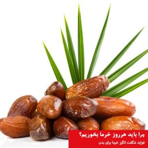 چرا مصرف روزانه خرما مهم است؟