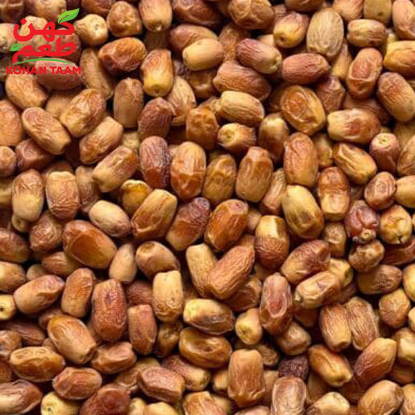 نگهداری خرمای زاهدی