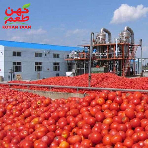 کنترل کیفیت رب گوجهفرنگی