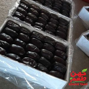 راهنمای خرید عمده خرمای مضافتی برای صادرات به اروپا