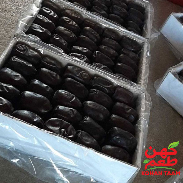 قیمت روز خرمای مضافتی عمده