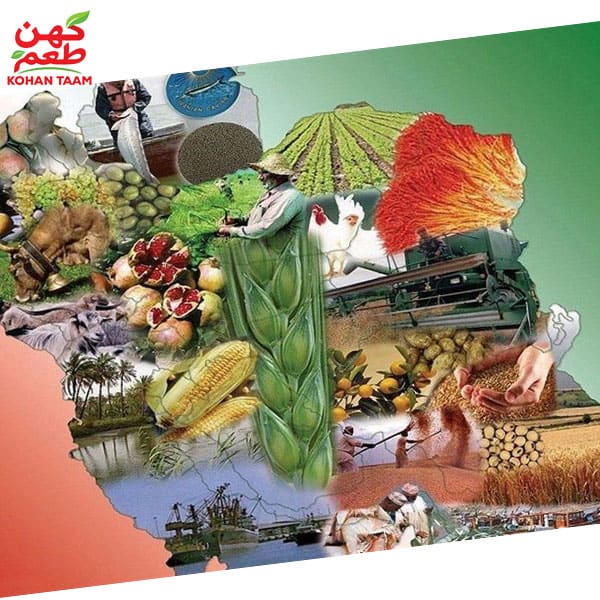 لجستیک محصولات فله