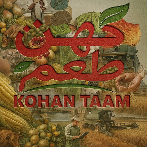 پخش عمده مواد غذایی در تهران