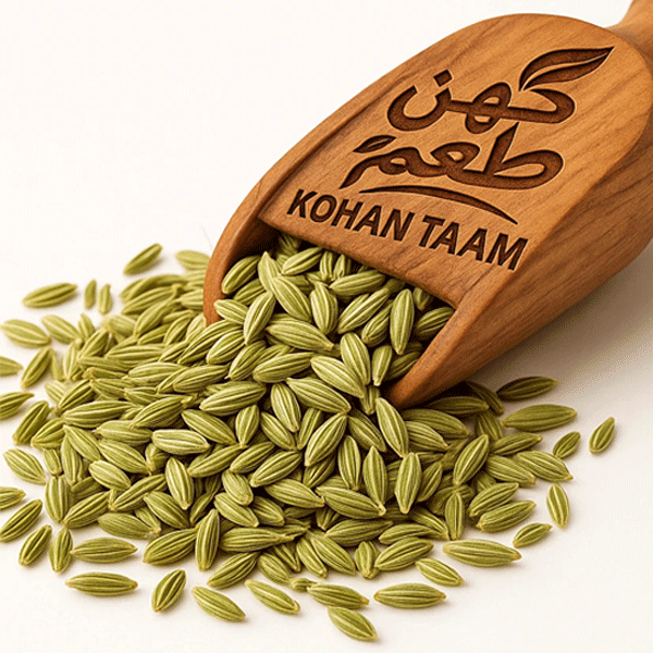 تشخیص زیره اصل
