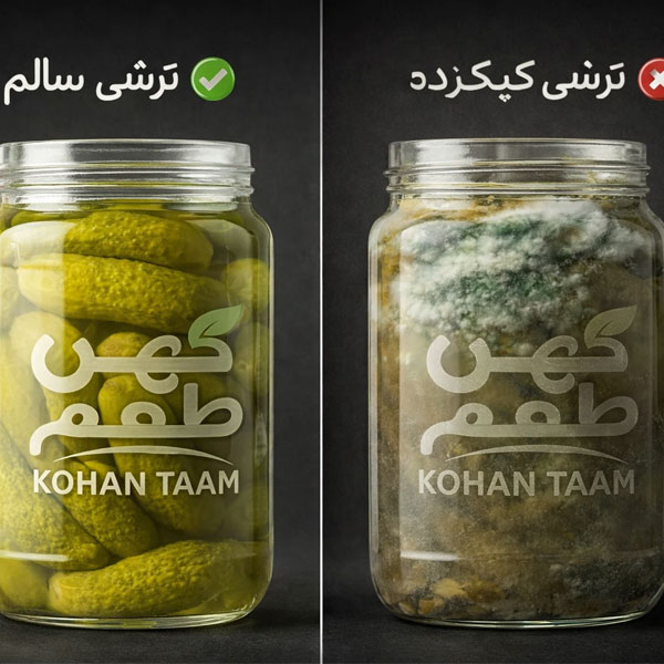 کپک زدن ترشی